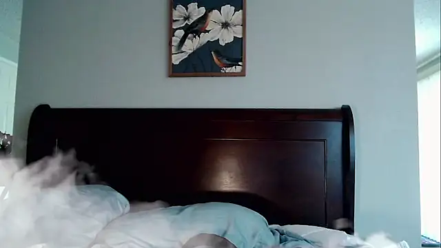 Snarfle82 webcam