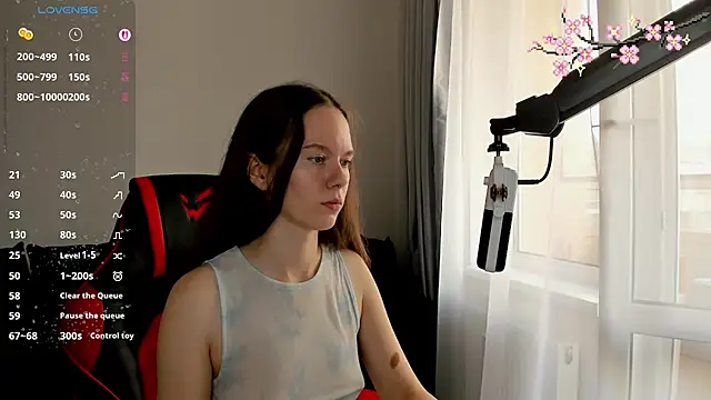 Vulgar_Tamer