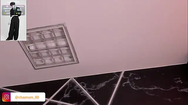 AerumChae webcam