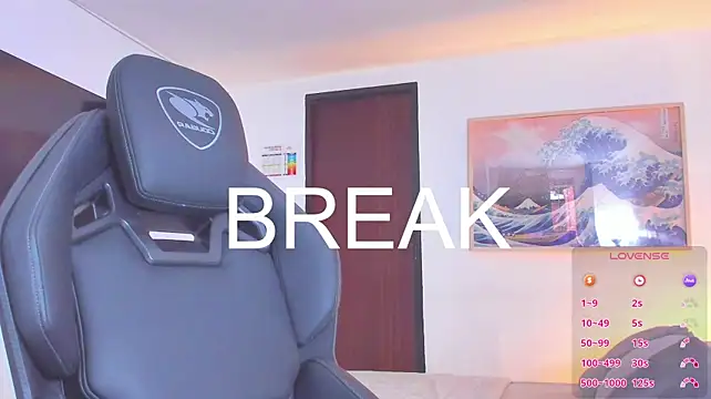 RJBarto webcam