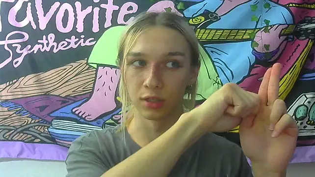 icebenz webcam