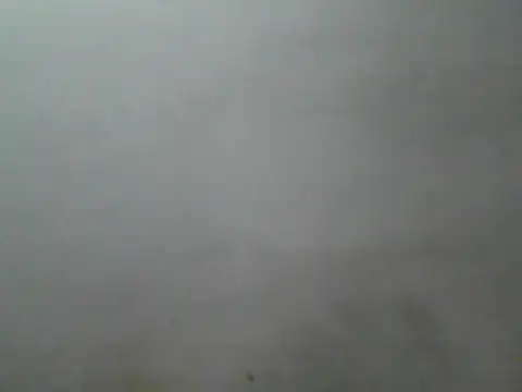 Foxboy65 webcam