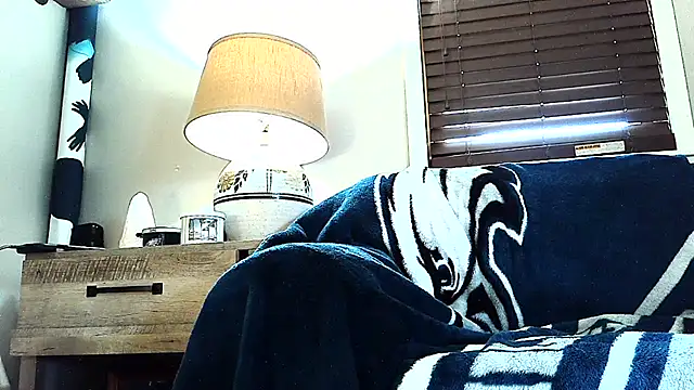studlyhardwoodd webcam