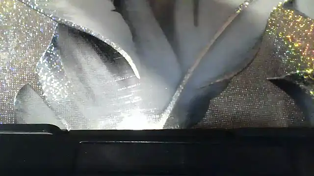 MarinaFarina53 webcam