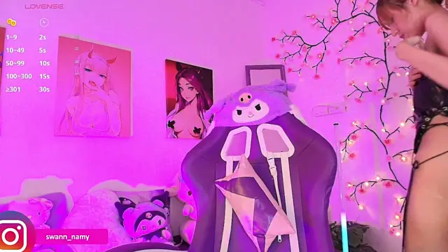 Swannamy webcam