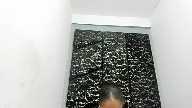 AnaCole webcam