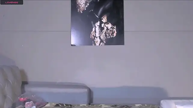 AliceFit_212 webcam
