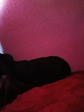 Al3vr webcam