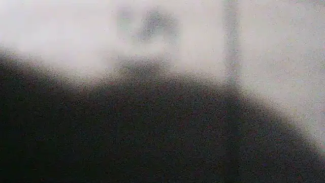 flayeyena live cam on StripChat