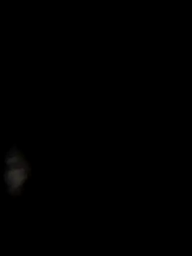Punammishra webcam