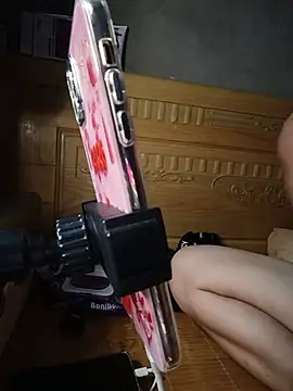Hazel_Nova webcam