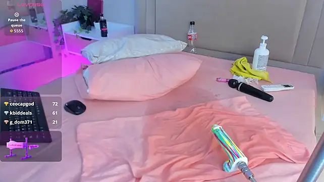 Liastarkk webcam
