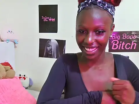 Aria_ah webcam
