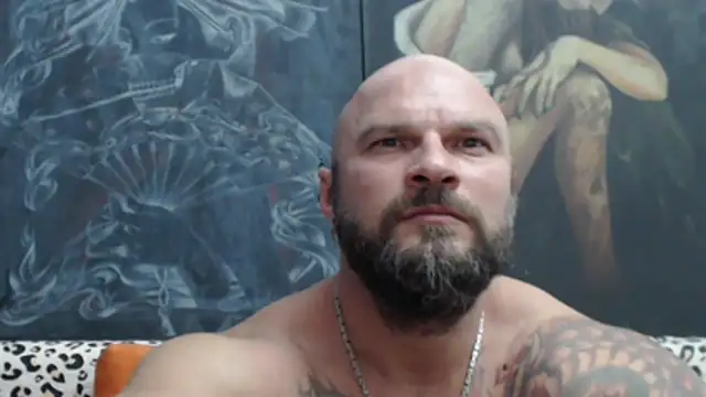 viking_30 webcam