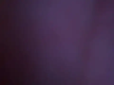 DenBeenDikN webcam