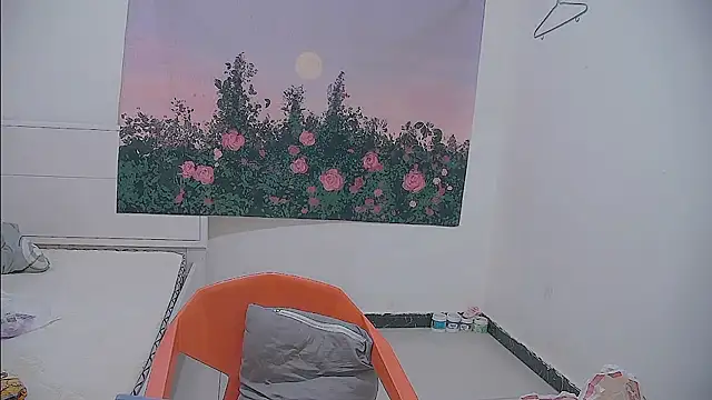 paofu-001 webcam