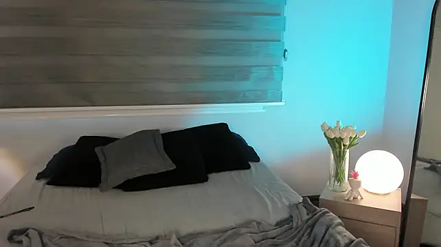 MERIDA_TAYLOR webcam