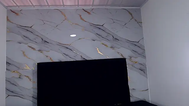 MaximilianRoth webcam