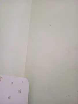 sua_sub_ webcam