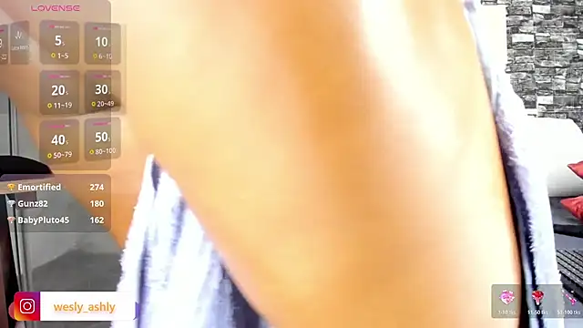 wesly_ashly webcam