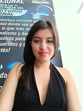 SALOME-28_ webcam