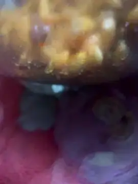 lusty_bhabh webcam
