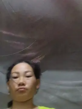 Willow-ww webcam