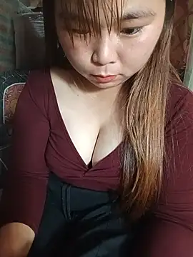Lavy-bivi webcam