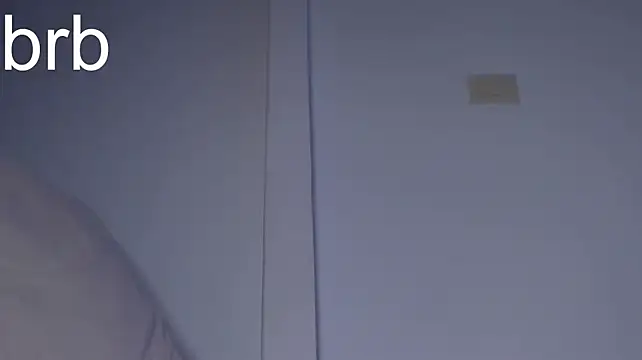 Swt_skinny_ webcam