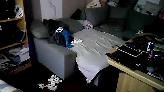 Sachsen-Rico webcam