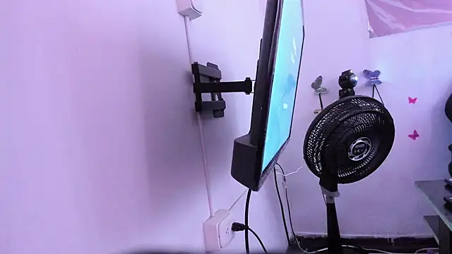 Milly-Way webcam