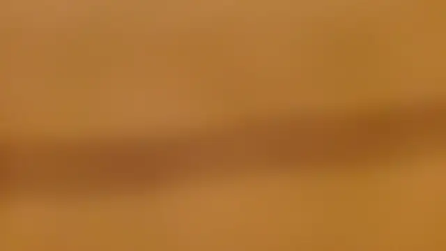 leaxSTAR webcam