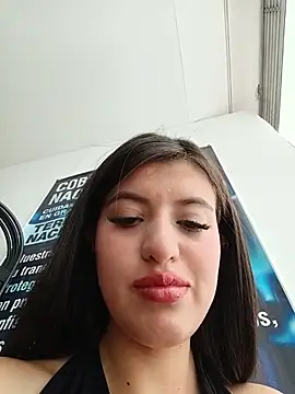SALOME-28_ webcam