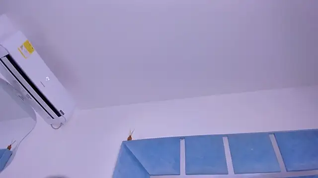 Lucy_asm webcam