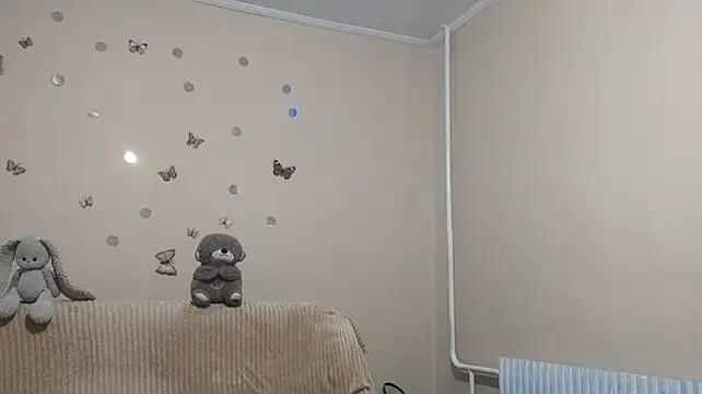 RoutedRib webcam