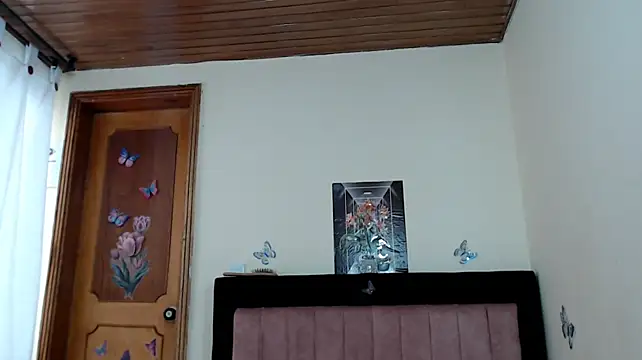 SOFYXS webcam