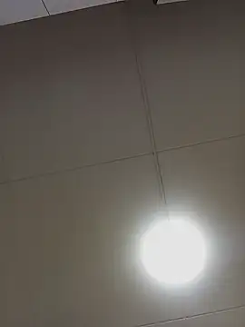 ROSIEPIXEL webcam