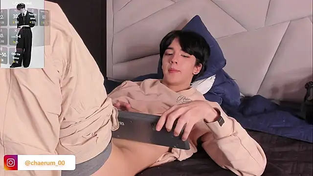 AerumChae webcam