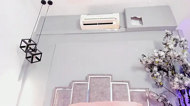 Cloedurant webcam