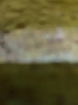 Rajni_singh webcam