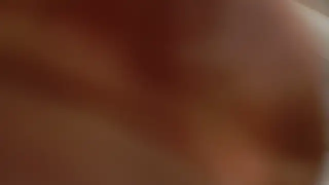 wild41 webcam