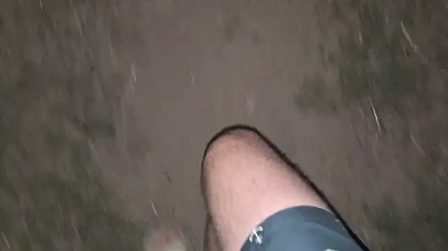 Vuitton webcam