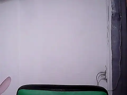 BigDickTrans webcam