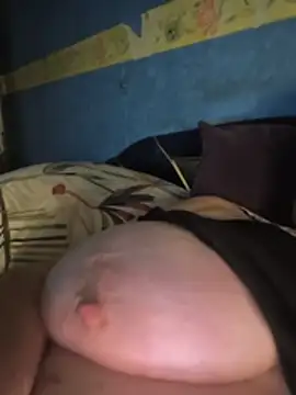 poussychats webcam