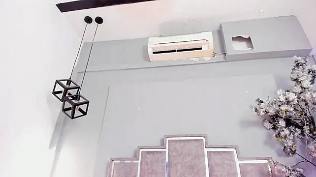 Cloedurant webcam