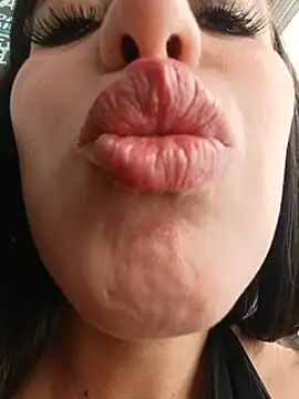 SALOME-28_ webcam