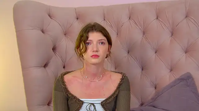 SophiaProve webcam