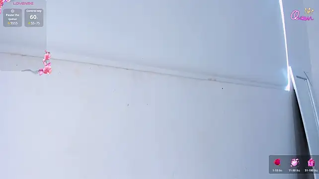 celeste_mill webcam