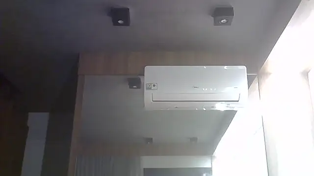 SkinnyKitten webcam