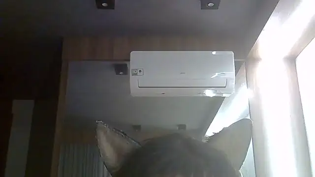 SkinnyKitten webcam
